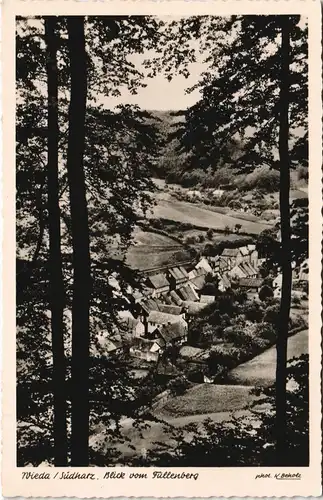 Ansichtskarte Wieda (Harz) Blick vom Füllenberg 1969