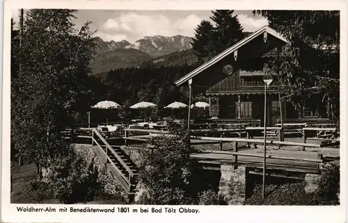 Ansichtskarte Bad Tölz Waldherr-Alm mit Benediktenwand Umland-Ansicht 1955