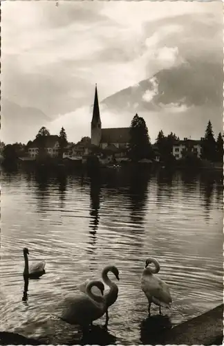 Ansichtskarte Rottach-Egern Tegernsee, Schwäne, Blick zur Kirche 1960