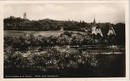 Ansichtskarte Holzminden Blick zum Stadtpark 1937