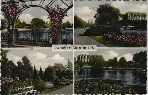 Ansichtskarte Uetersen Rosarium der Rosen-Stadt Mehrbild-AK 4 Ansichten 1960