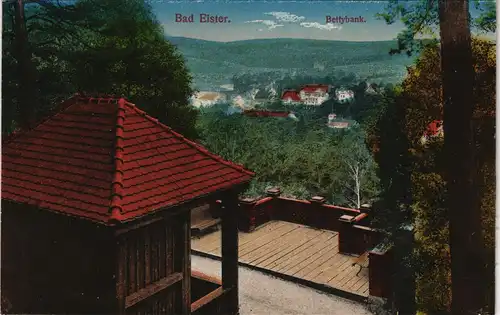 Ansichtskarte Bad Elster Stadt von der Bettybank 1914