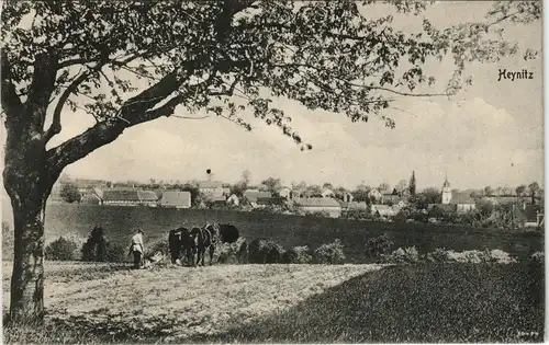 Ansichtskarte Heynitz-Nossen Bauer mit Pflug vor der Stadt 1913