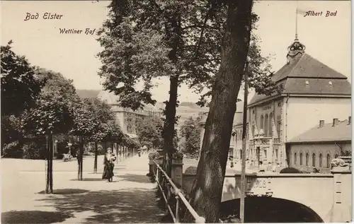 Ansichtskarte Bad Elster Wettiner Hof und Albert Bad 1913