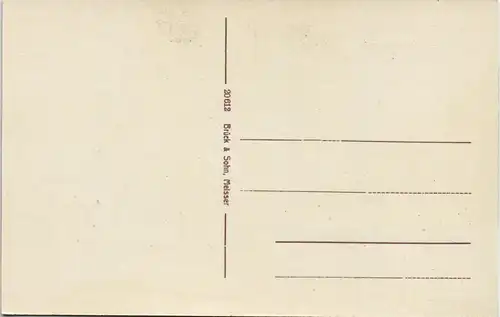 Ansichtskarte Bad Elster Wettiner Hof und Albert Bad 1913