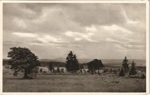 Ansichtskarte Geyer Umland-Ansicht Hermannsdorfer Wiesen 1930