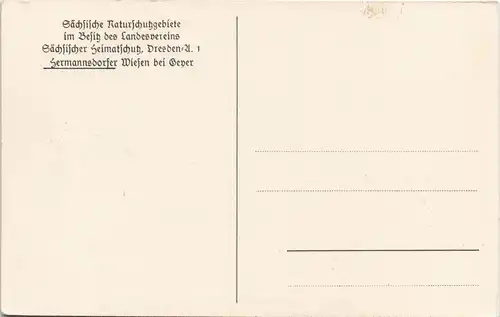 Ansichtskarte Geyer Umland-Ansicht Hermannsdorfer Wiesen 1930