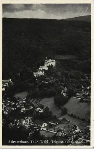 Ansichtskarte Schwarzburg Schwarzburg, Thüringer Wald Trippsteinblick 1930