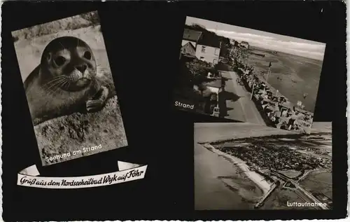 Ansichtskarte Wyk (Föhr) Seehund, Strand, Luftbild 1957