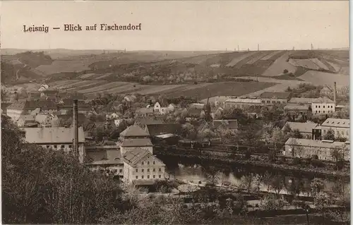 Ansichtskarte Leisnig Blick auf Fischendorf 1917