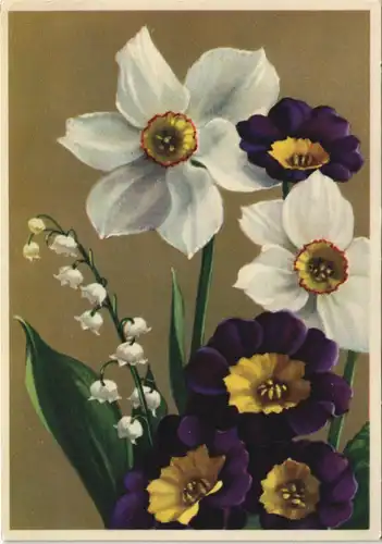 Ansichtskarte  Blumen - Kunstbildpostkarte Paul Löffler 1938