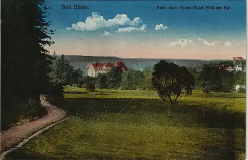 Ansichtskarte Bad Elster Blick nach dem Palasthotel, Wettiner Hof 1913