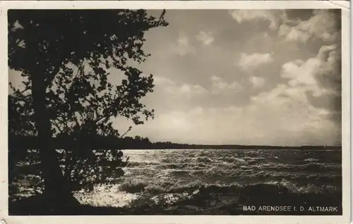 Ansichtskarte Arendsee (Altmark) Stimmungsbild See Wellen 1931