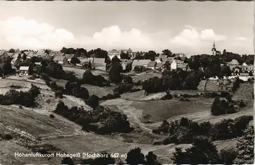 Ansichtskarte Hohegeiß-Braunlage Stadtpartie 1961