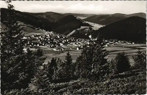Ansichtskarte Willingen (Upland) Blick auf die Stadt 1966
