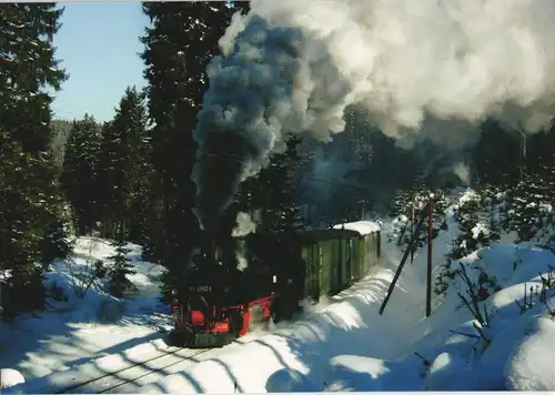 Schmalspur-Dampflokomotive mit Reisezug bei Schlössel (Loreleyfelsen) 2011