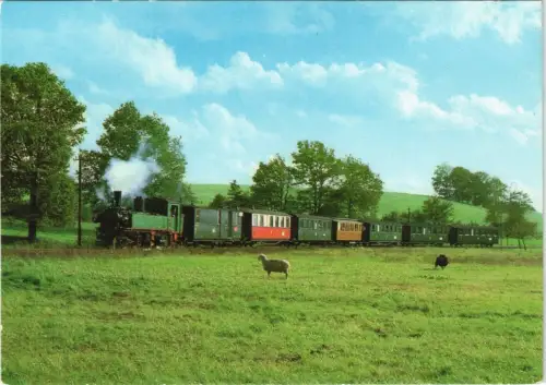 Lößnitzgrundbahn Schmalspurbahn: Traditionszug im Wiesental der Promnitz 1985