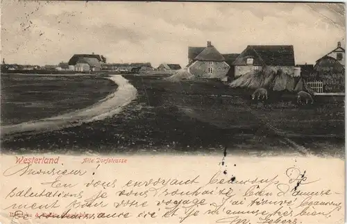 Ansichtskarte Westerland-Gemeinde Sylt Alte Dorfstraße 1902