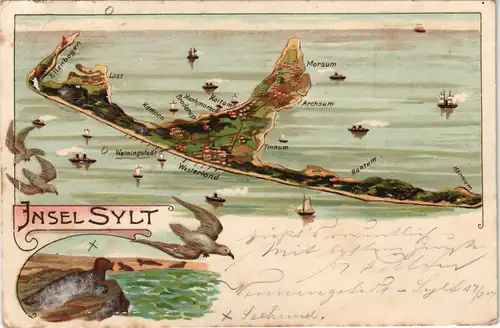 Litho AK Gemeinde Sylt 2 Bild: Insel u. Robbe Künstlerkarte 1907