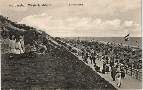 Westerland-Gemeinde Sylt Strandleben, Düne - Kinder vor Strandkorb 1913