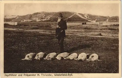 Westerland  Sylt Villa Hubertus - Jagdführer und Präparator Thiede Robben 1915