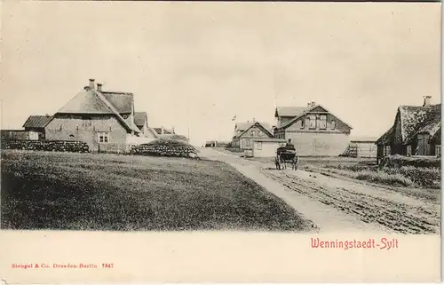 Ansichtskarte Wenningstedt-Braderup Straßenpartie Fuhrwerk 1908