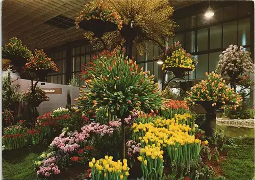 Berlin INTERNATIONALE GRÜNE WOCHE BERLIN Pflanzen Ausstellung 1976