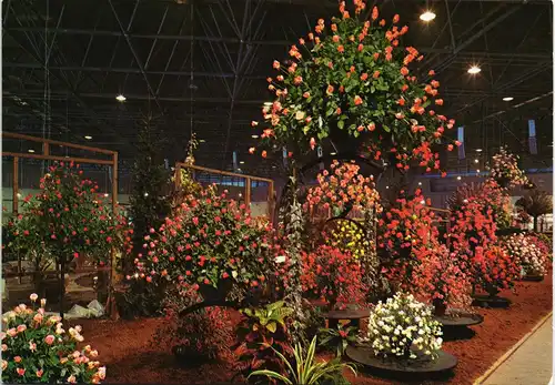 Ansichtskarte Berlin INTERNATIONALE GRÜNE WOCHE BERLIN 1972 1972