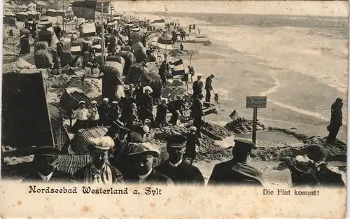 Ansichtskarte Westerland-Sylt voller Strand - Die Flut kommt! 1906