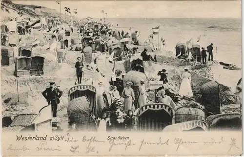Ansichtskarte Westerland-Sylt Strandleben, Strandkörbe 1904