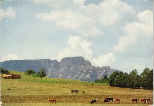 Südafrika Rural peace, O.F.S. Landelike vreedsaamheid Südafrika Landschaft 1975