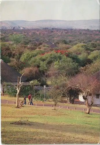 Südafrika OVERVAAL TSHIPISE Transvaal Mineral bath  resort Baobab Country 1988