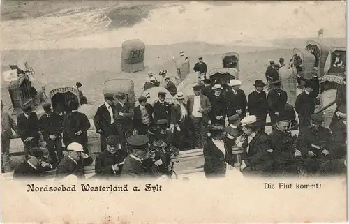 Ansichtskarte Westerland-Sylt Feine Herrschaften - Die Flut kommt 1905