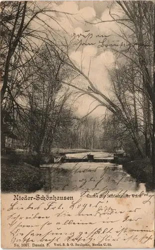 Niederschönhausen-Berlin Stadtteilansicht Partie im Schönhauser Park 1906
