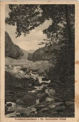 Ansichtskarte Tambach-Dietharz Apfelstädter Grund 1927