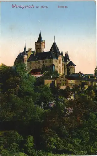 Ansichtskarte Wernigerode Schloss im Harz color Gesamtansicht 1907 #
