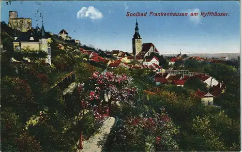 Ansichtskarte Bad Frankenhausen Stadt und Baumblüte 1925