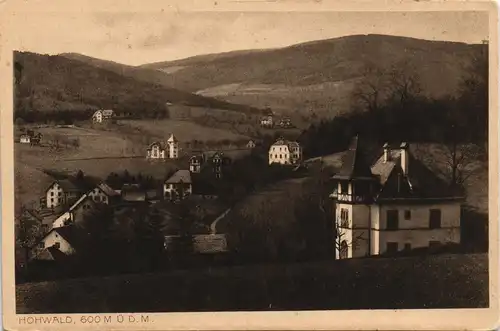 CPA Le Hohwald Stadtpartie mit Villen 1916