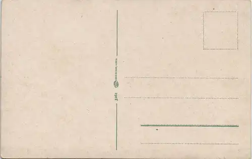 Ansichtskarte Benneckenstein Totalansicht 1914