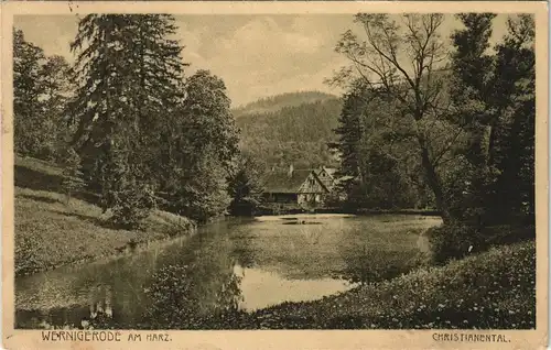 Ansichtskarte Wernigerode Häuser im Christianental 1925