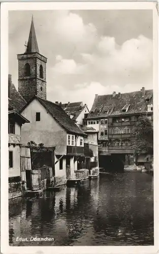 Ansichtskarte Erfurt Dämmchen 1952