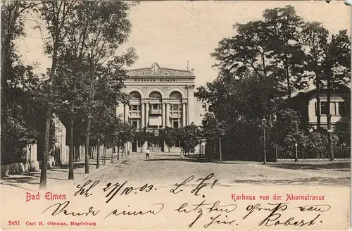 Ansichtskarte Bad Salzelmen-Schönebeck (Elbe) Ahornstraße 1903