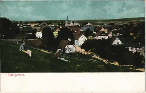 Ansichtskarte Elbingerode-Oberharz am Brocken Stadtpartie 1907  #