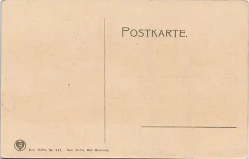 Ansichtskarte Elbingerode-Oberharz am Brocken Stadtpartie 1907  #