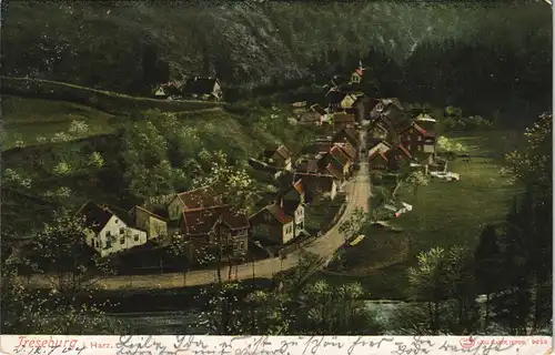 Ansichtskarte Treseburg Straßenpartie - Künstlerkarte 1904