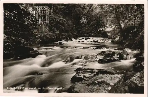 Ansichtskarte Bad Wildbad In den Enzanlagen 1930