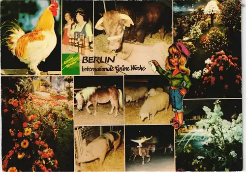 Ansichtskarte Berlin Internationale Grüne Woche Mehrbildkarte 1975