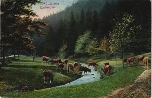 Ansichtskarte .Thüringen Deutschland - Thüringen - Kühe am Bach 1912