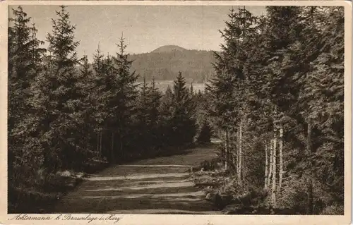 Ansichtskarte Braunlage Achtermann, Harz Panorama-Ansicht 1925