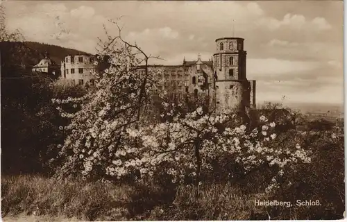 Ansichtskarte Heidelberg Baum Blüte am Heidelberger Schloss 1927